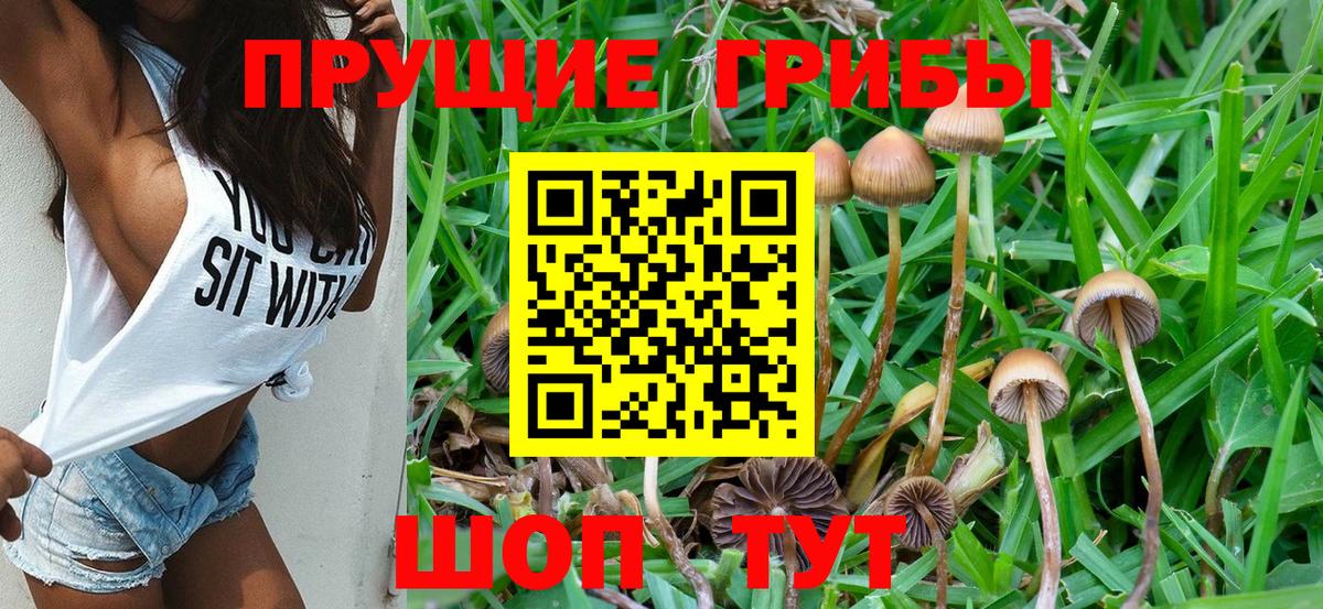 Татарск  Галлюциногенные грибы мицелий  Вход с VPN 