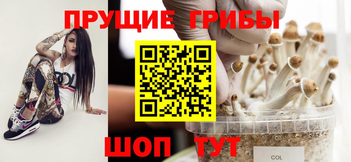 Псилоцибиновые грибы прущие грибы Татарск